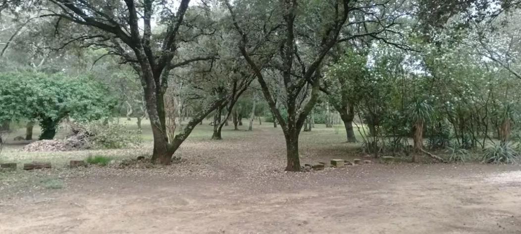 Evasion En Pleine Nature, Tipi Insolite Et Jacuzzi Au Pont Du Gard ! فير بونت دي غارد المظهر الخارجي الصورة